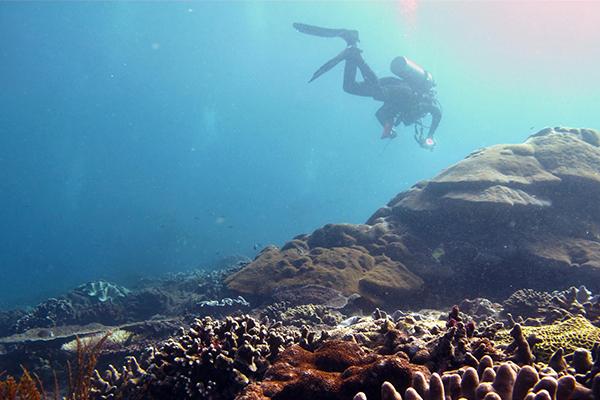 Thumbnail photo for Looking for your next adventure? Here's 6 reasons to take the plunge!