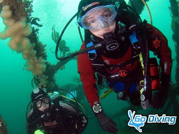 Thumbnail photo for Get ready to Go Diving! New dive show for 2019
