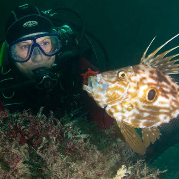 Thumbnail photo for Why scuba diving in the UK needs to be on your bucket list