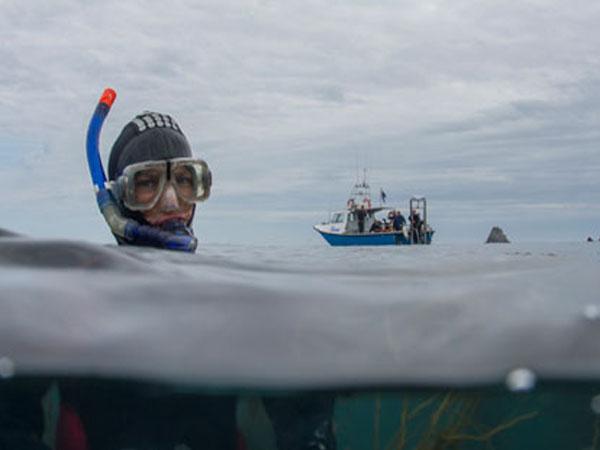 Thumbnail photo for Revised Snorkel Dive Manager Course - now available