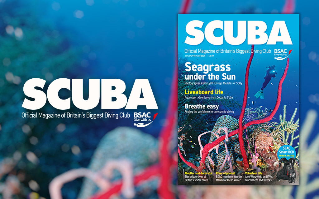 iSCUBA 152: Jan/Feb 2025 Issue