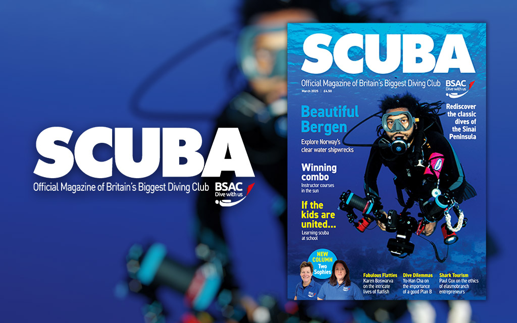 iSCUBA 153 front page