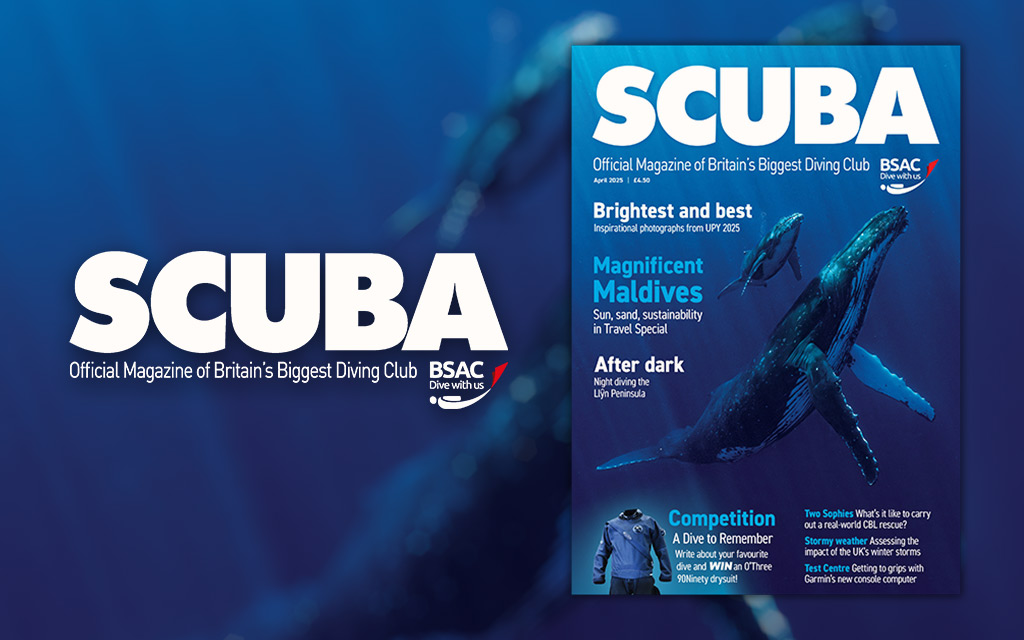 iSCUBA 154 front page