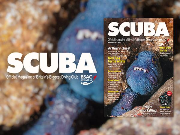 Thumbnail photo for November 2024 issue of iSCUBA