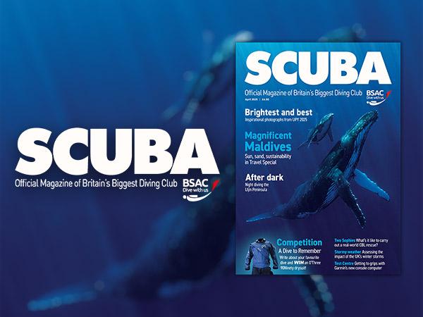 iSCUBA 154 front page