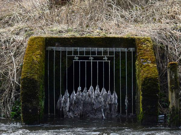 Thumbnail photo for BSAC welcomes Government announcement on new water commission