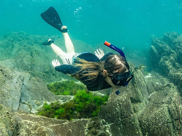 Thumbnail photo for Planning for year-round snorkel adventures