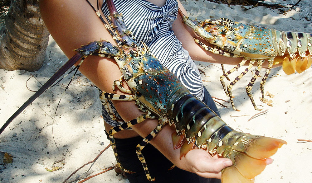 Woman holding a crawfish on each arm at the beach