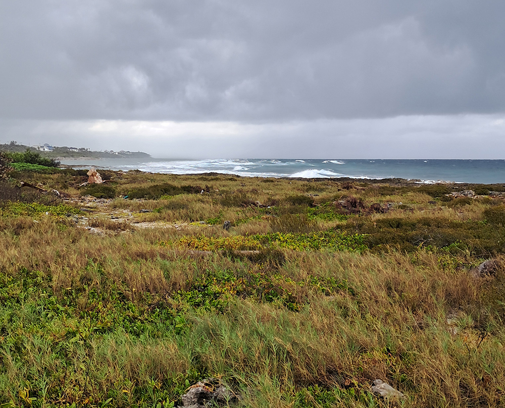 Cayman Islands after the clean up