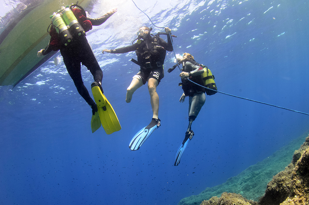 DfA Awareness course