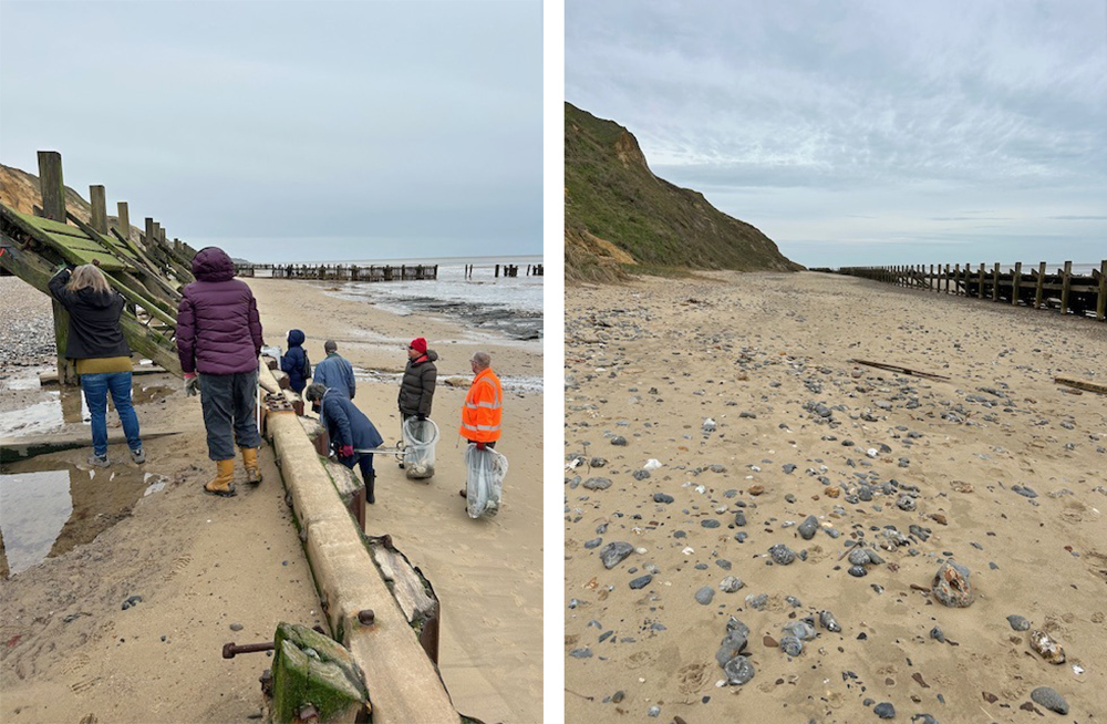 East Anglian beach clean