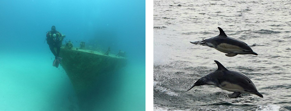 iDive trips