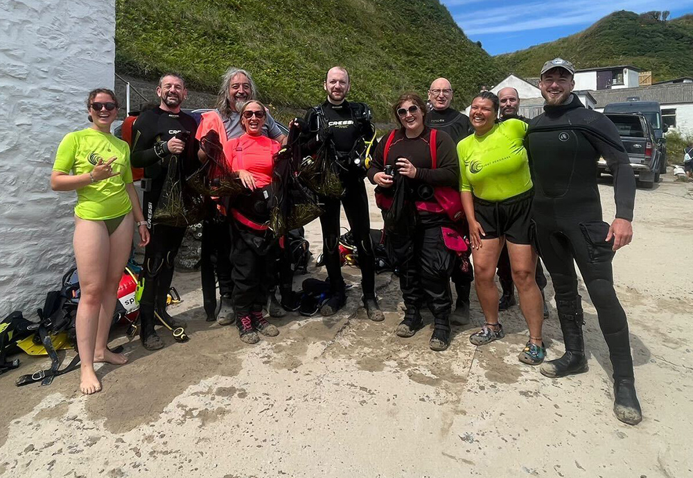 Seagrass volunteers