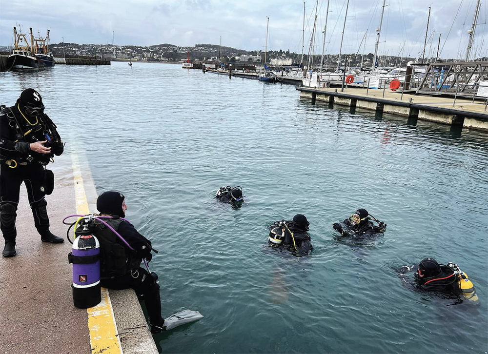 New Year Torbay harbour dive