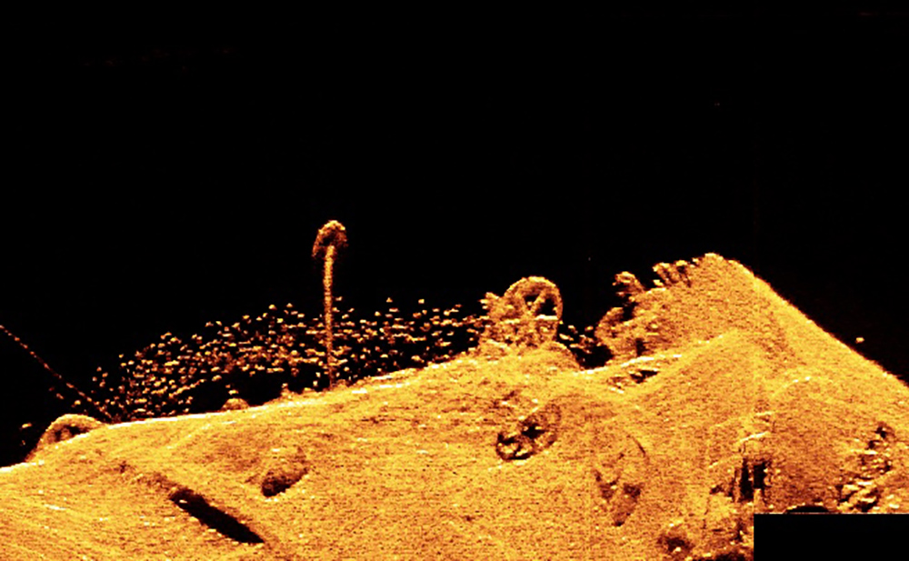 Sonar scan