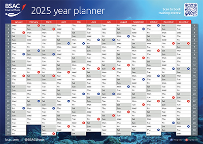 Year planner 2025