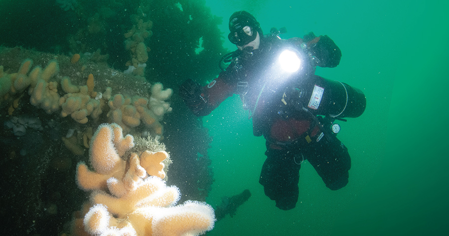 Research a wreck site and plan your dive - British Sub-Aqua Club